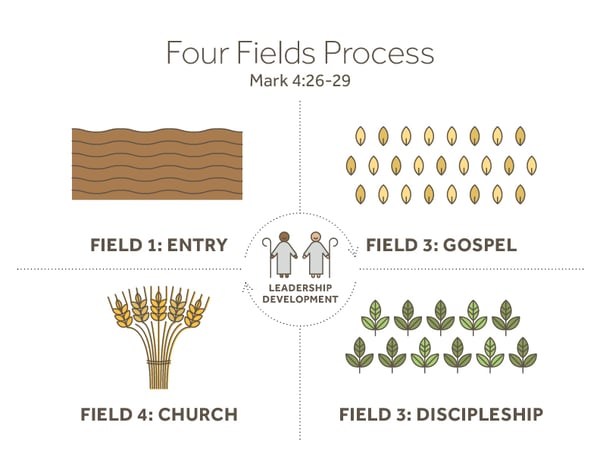 4Fields Graphic