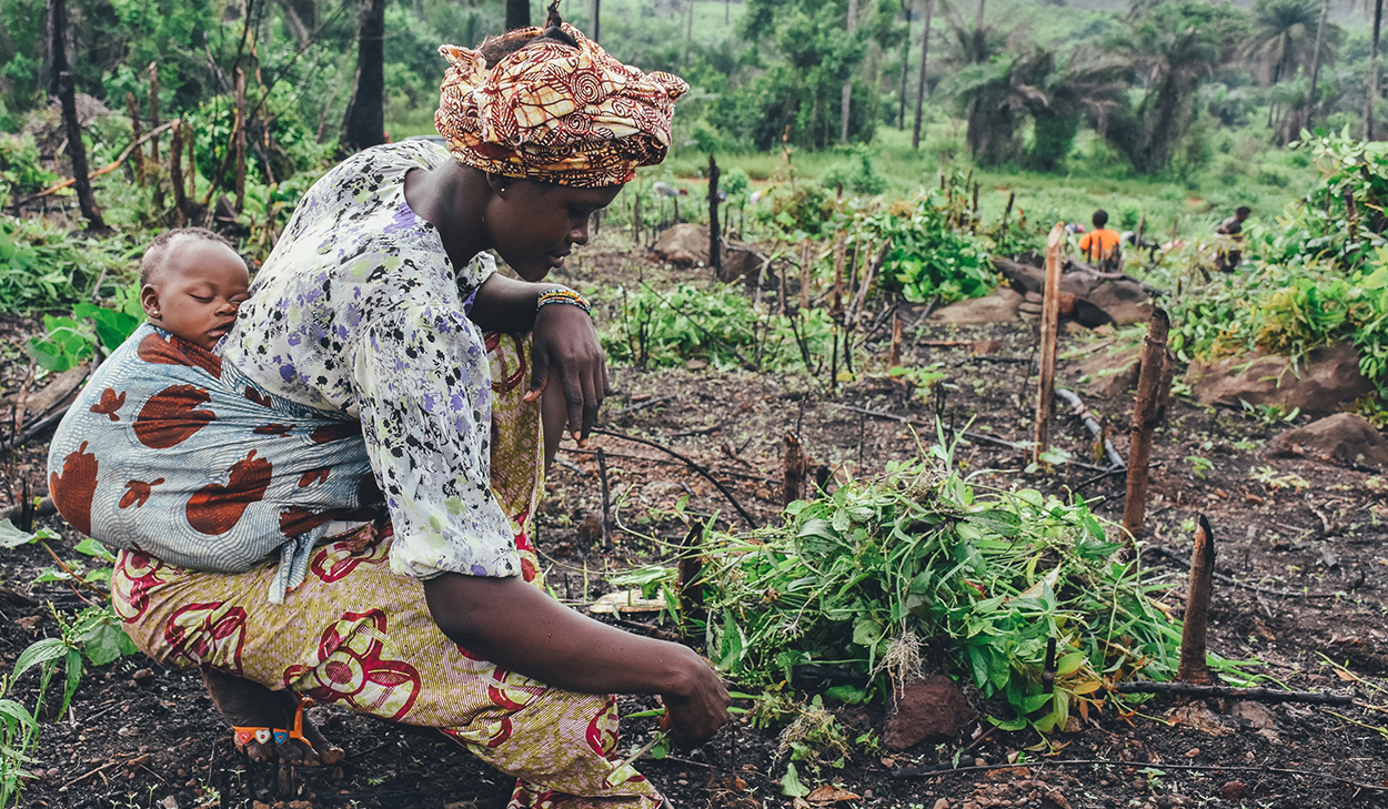 African woman with a plant