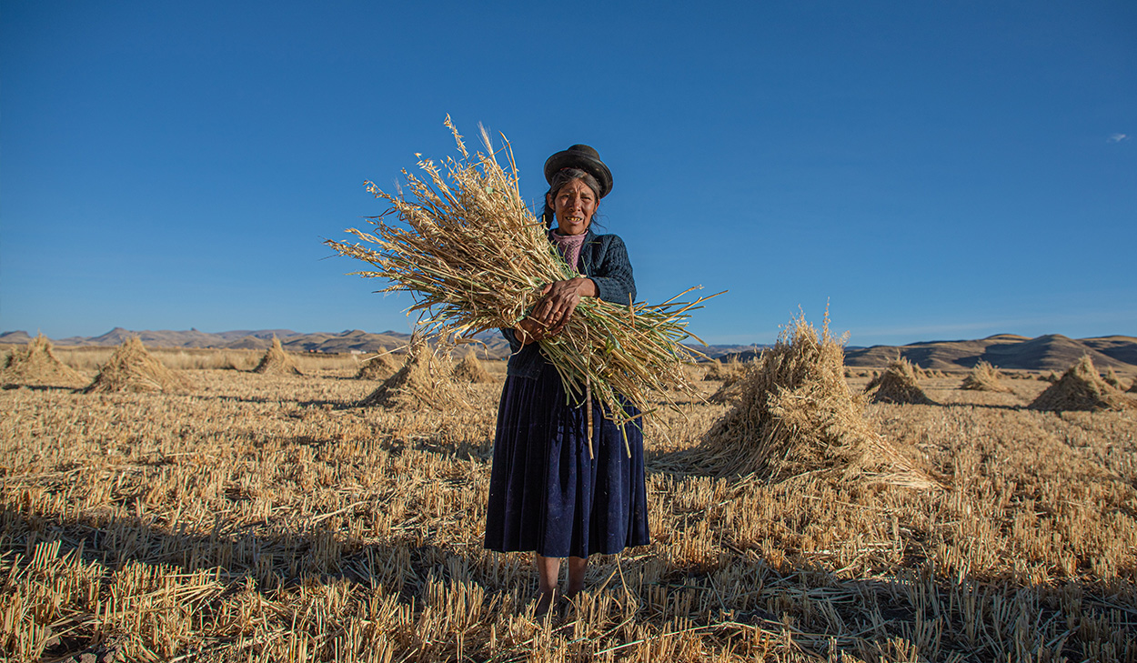 Woman holding wheat
