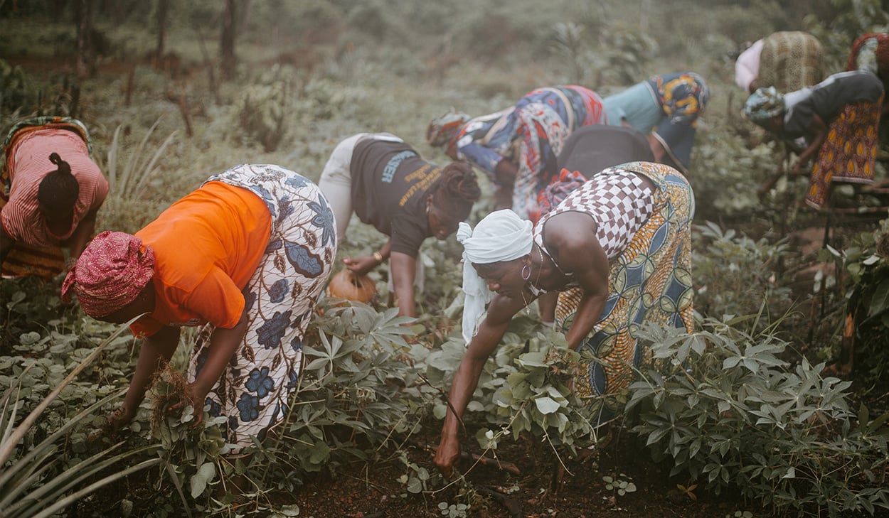 African women in a field