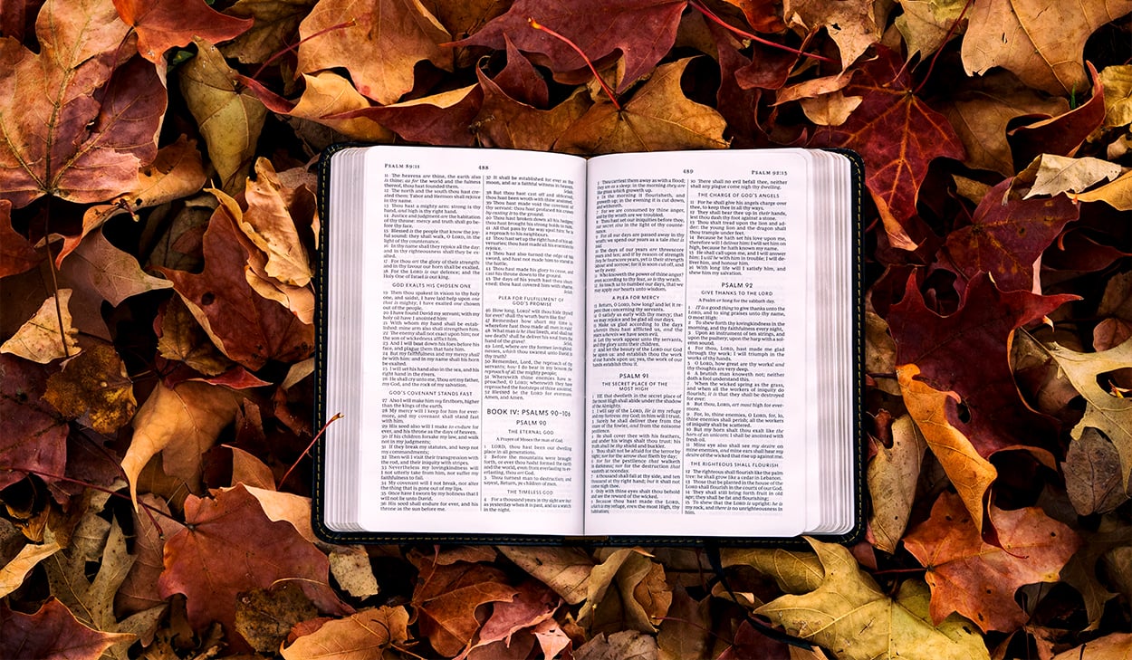 Bible in leaves