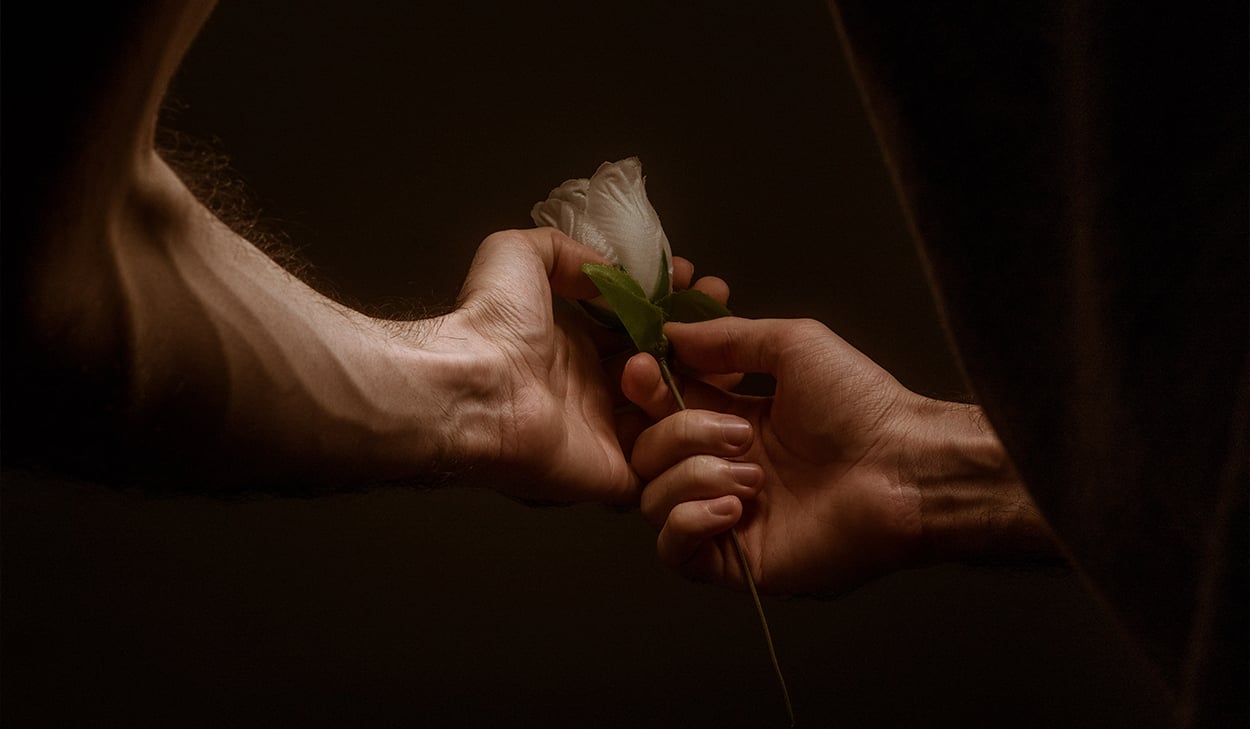 Person holding a rose