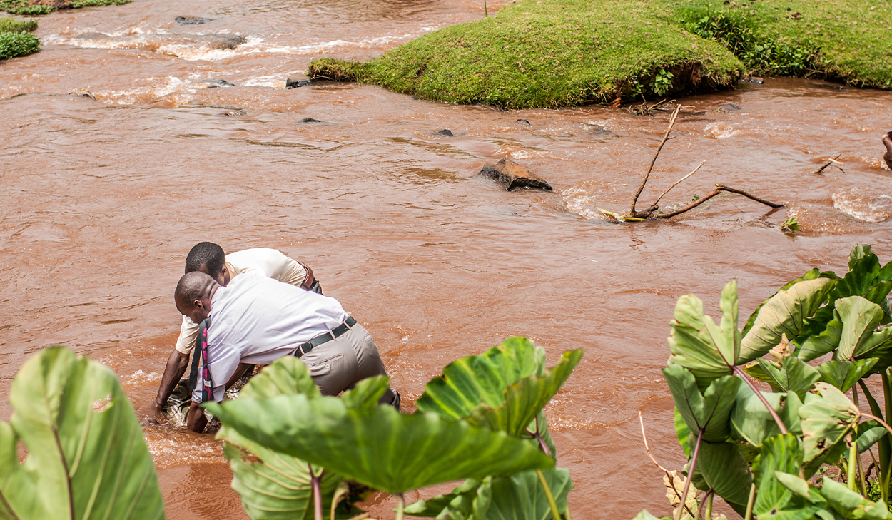 A person being baptized