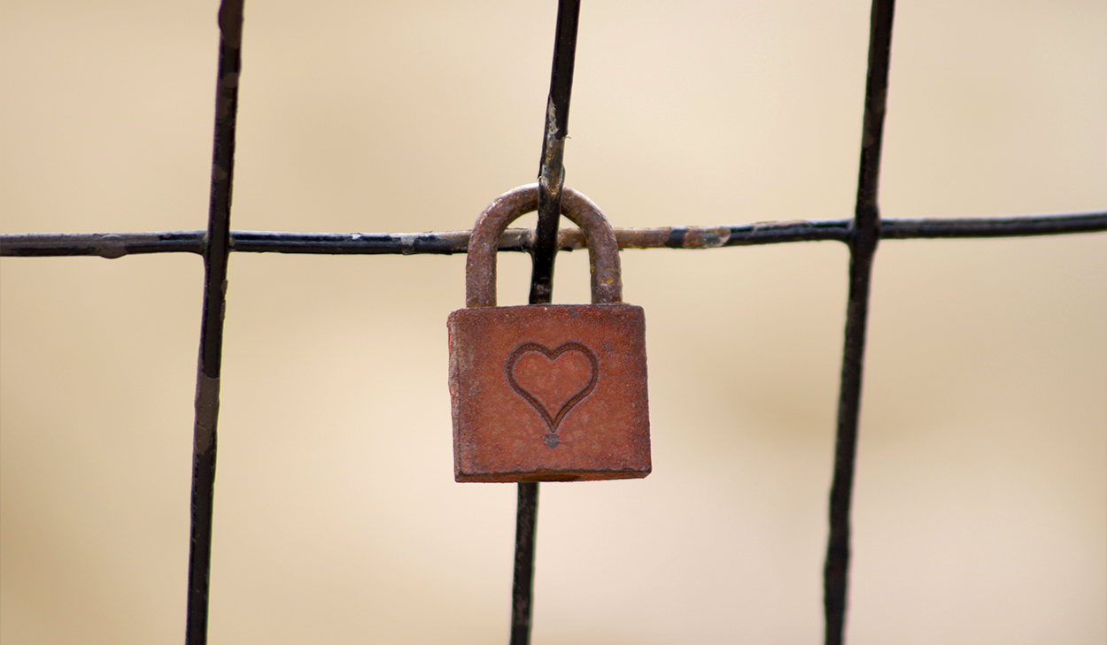 Lock on a fence