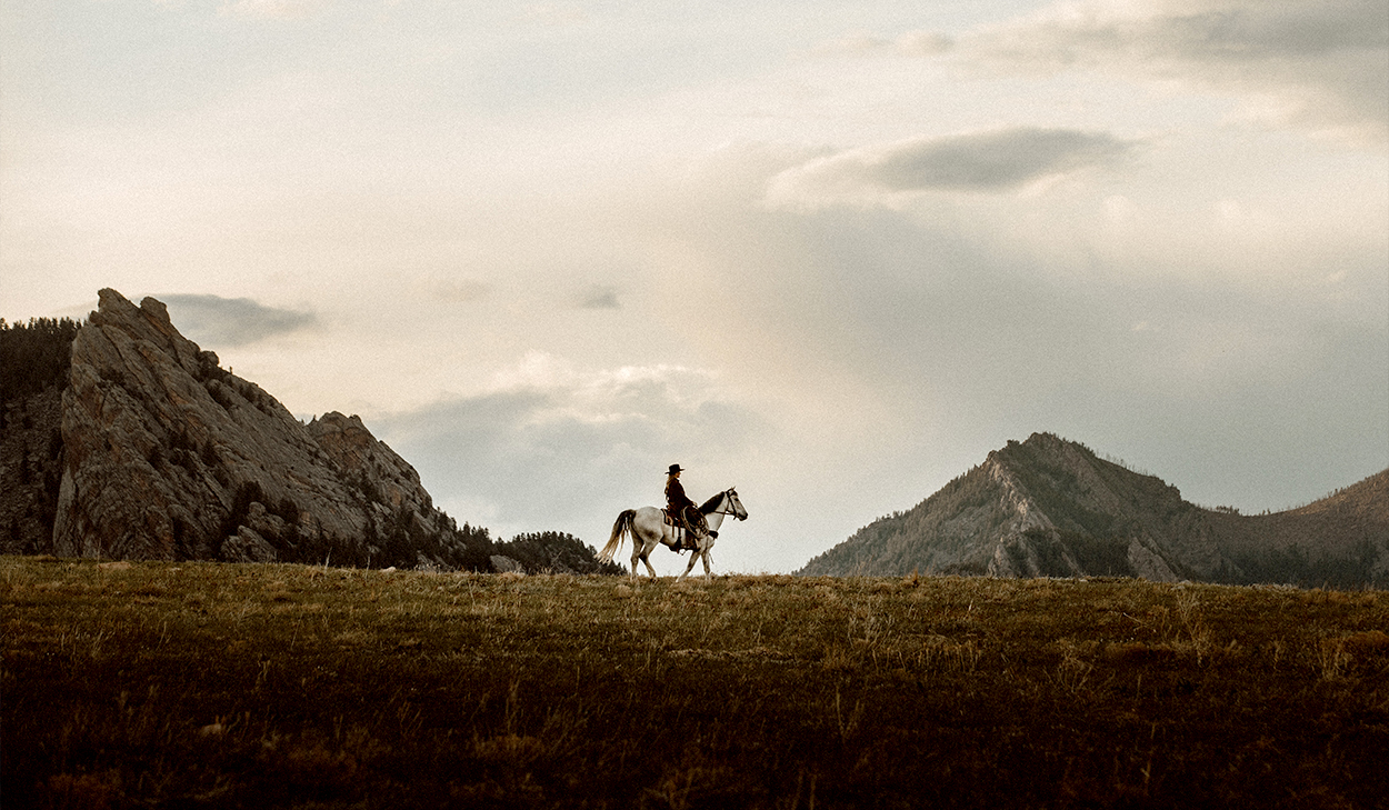 Person riding a horse