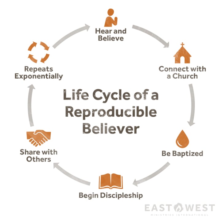 Life cycle of a reproducible believer