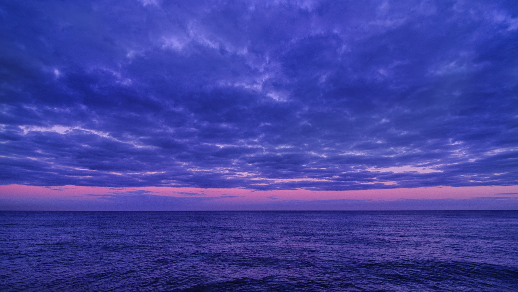 Purple sky