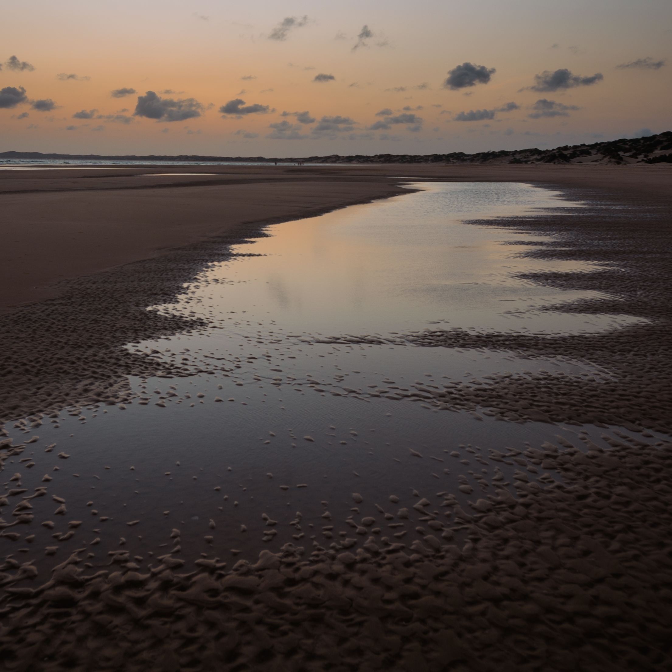 Shore puddles