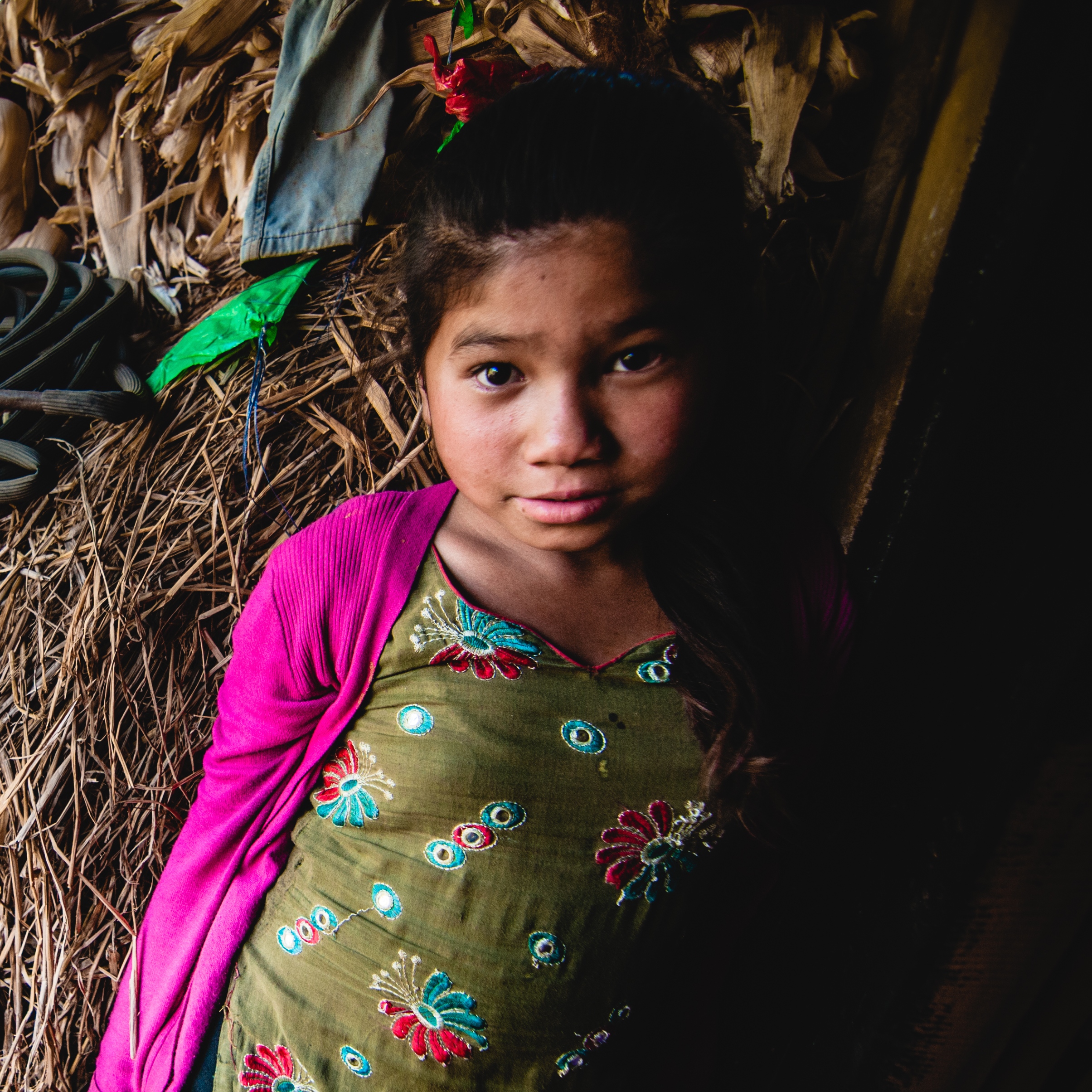 Himalayan girl 