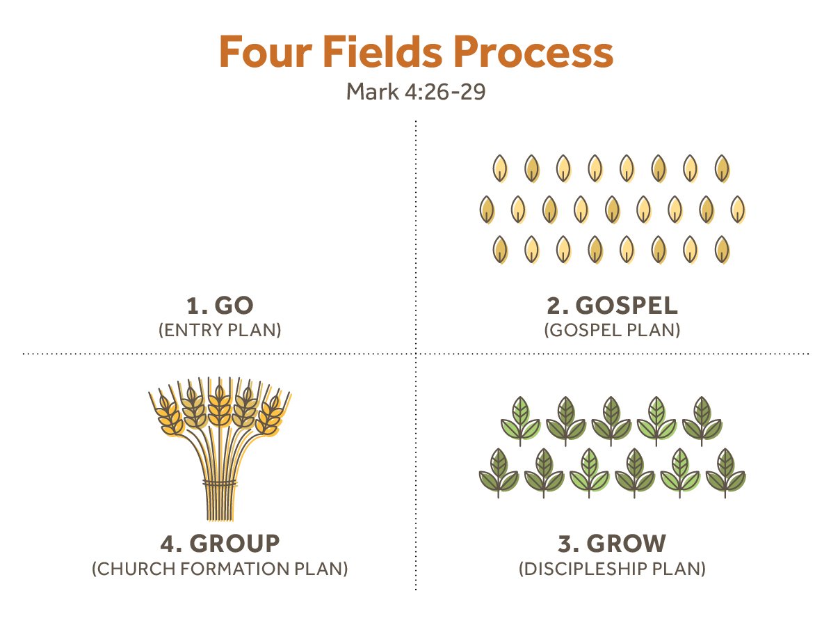 Four fields process infographic