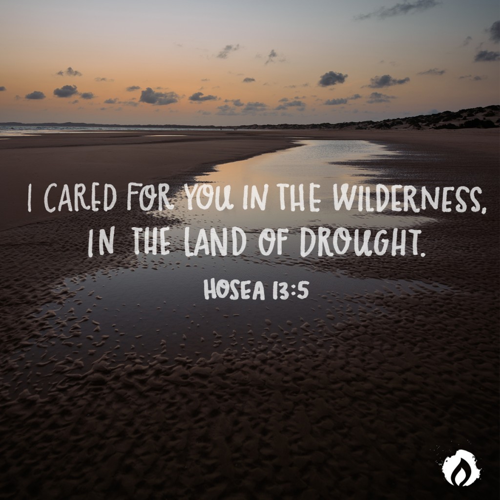 Hosea 13:5