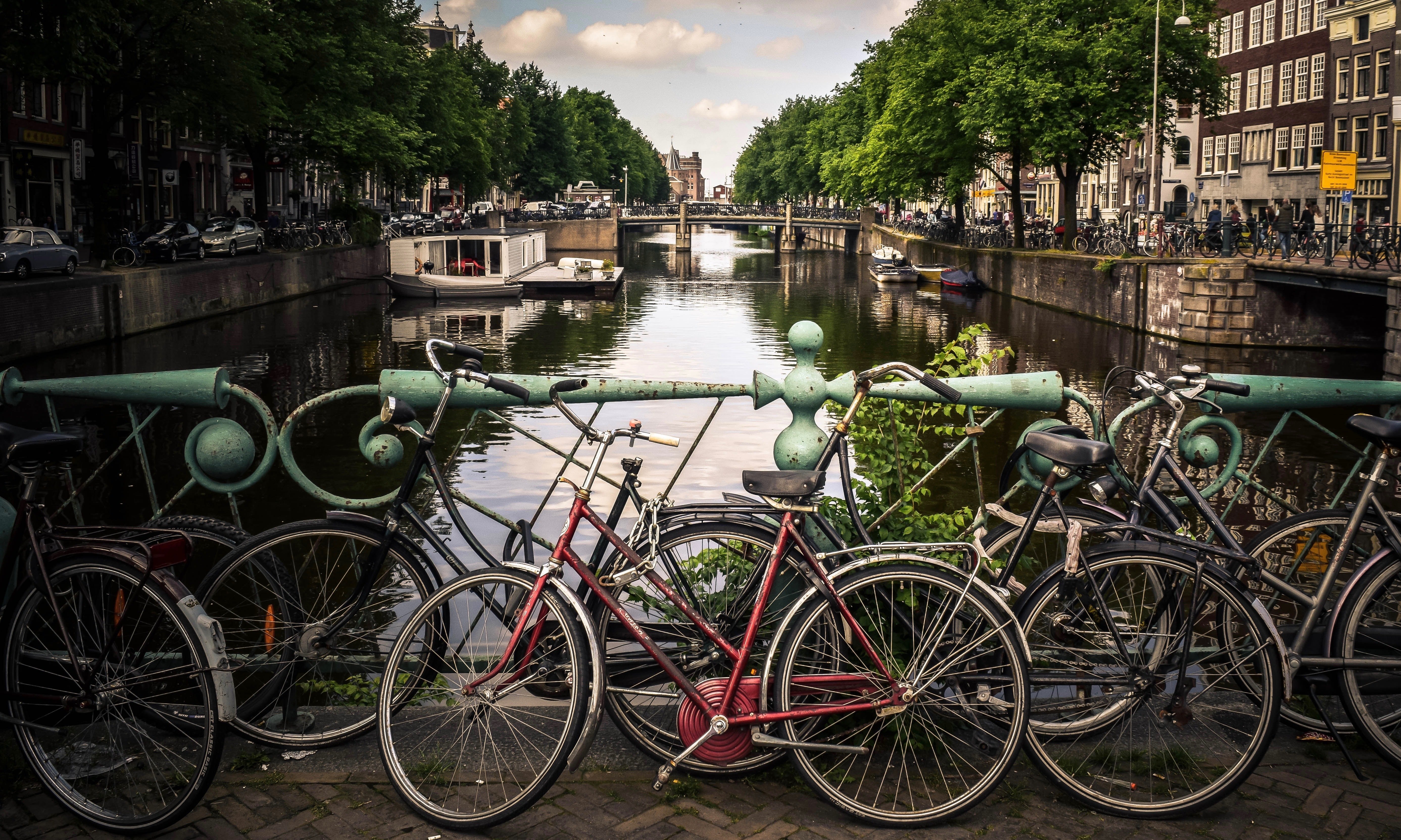 Bikes next to a river