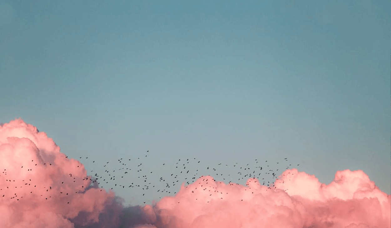 Blue sky with pink clouds