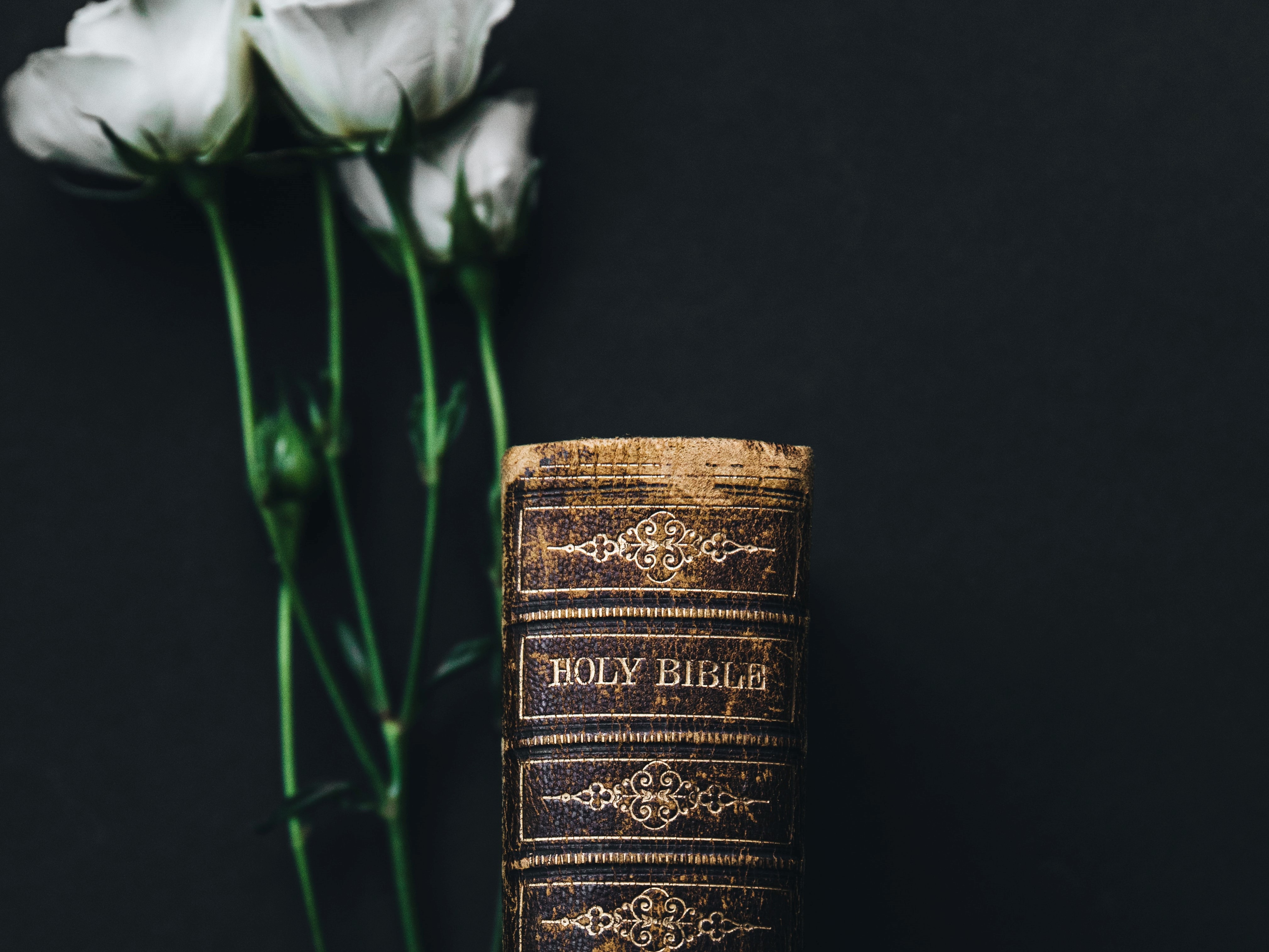 Old Bible with flowers