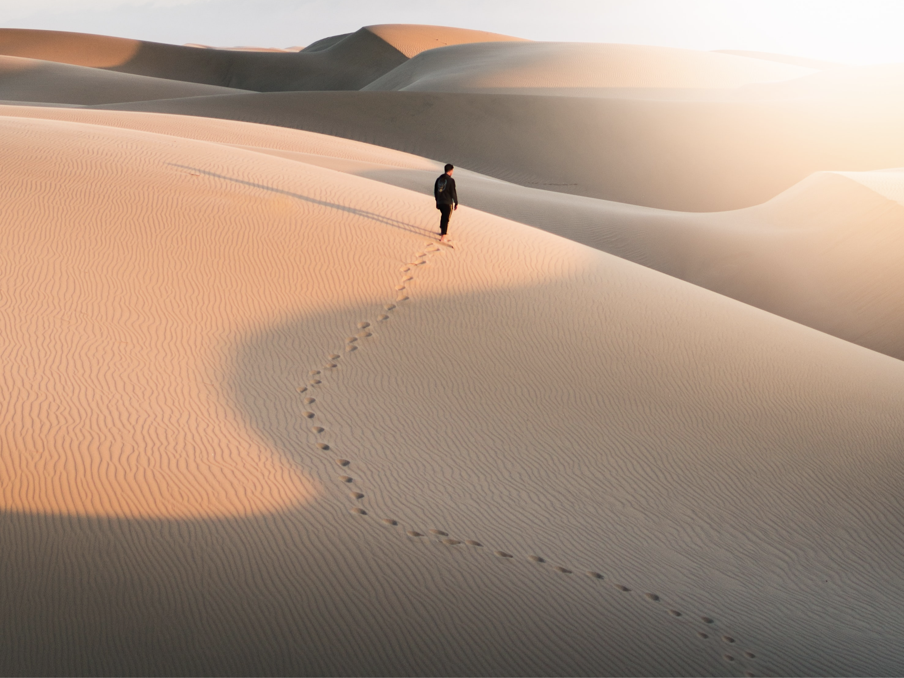 Footsteps through a desert