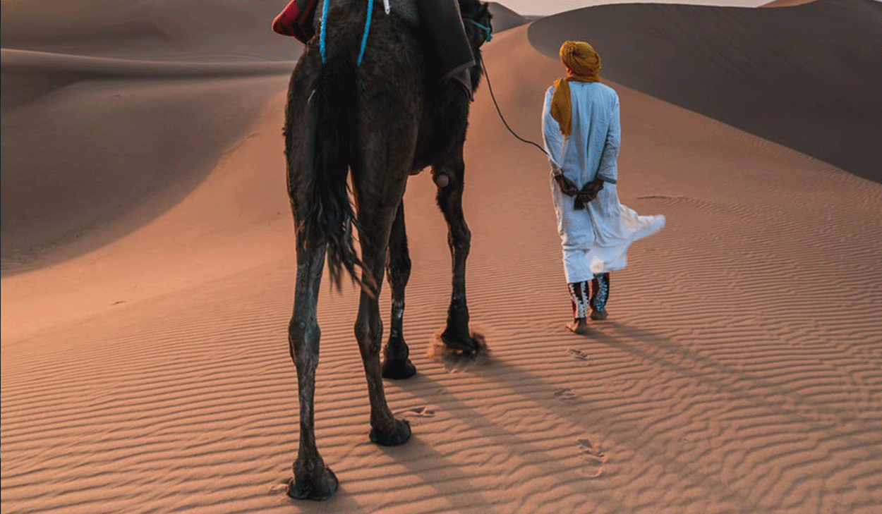 Man walking with a camel